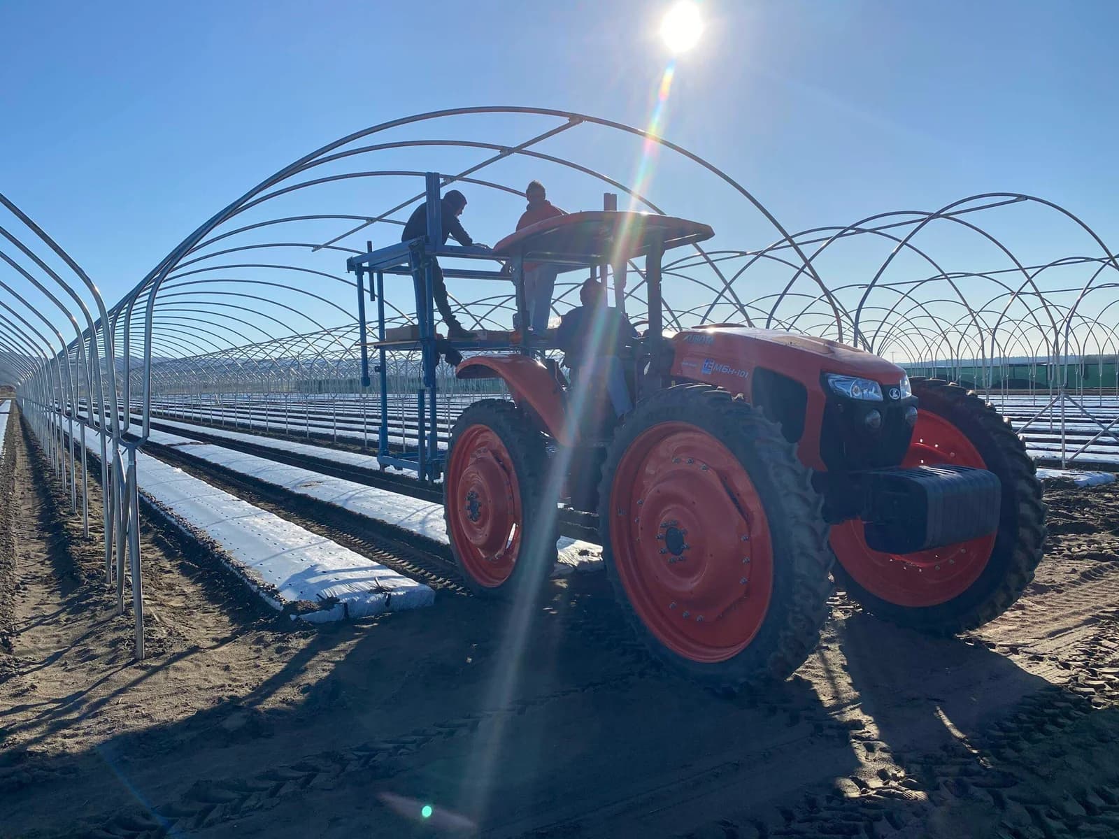 Custom Sizes for Every Greenhouse Setup