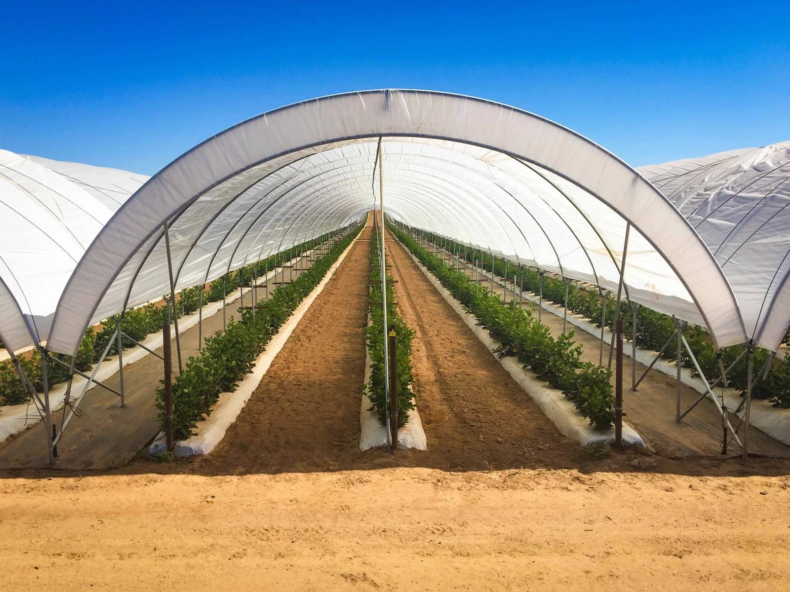 Measure for a Perfect Fit