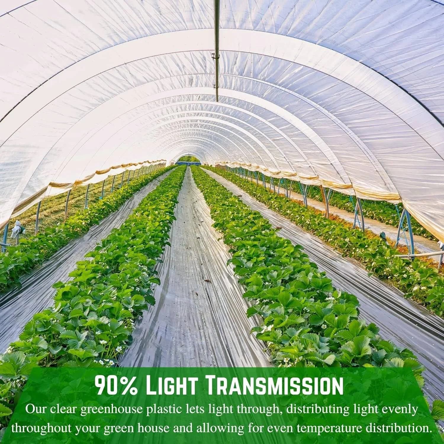 Light Transmission Technology