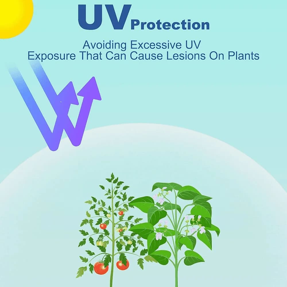 UV Protection